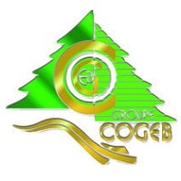 cogeb