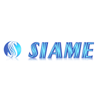 Siame recrute Directeur Ressources Humaines