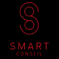 Smarte Conseil recrute Développeur Web SDW030