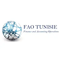FAO Consulting offre Stage d’Été Ingénieur Informatique