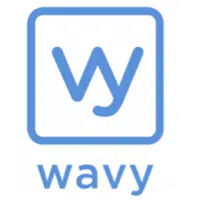 TDLS Wavy recrute Web Designer