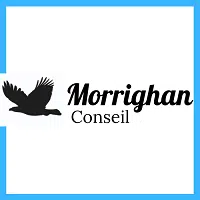 Morrighan Conseil offre Stage en Télétravail Chargé de Sourcing