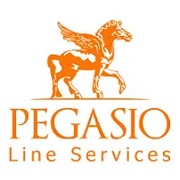 Pegasio International offre Stage Informaticien Fiscaliste